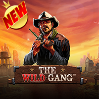 the wild gang
